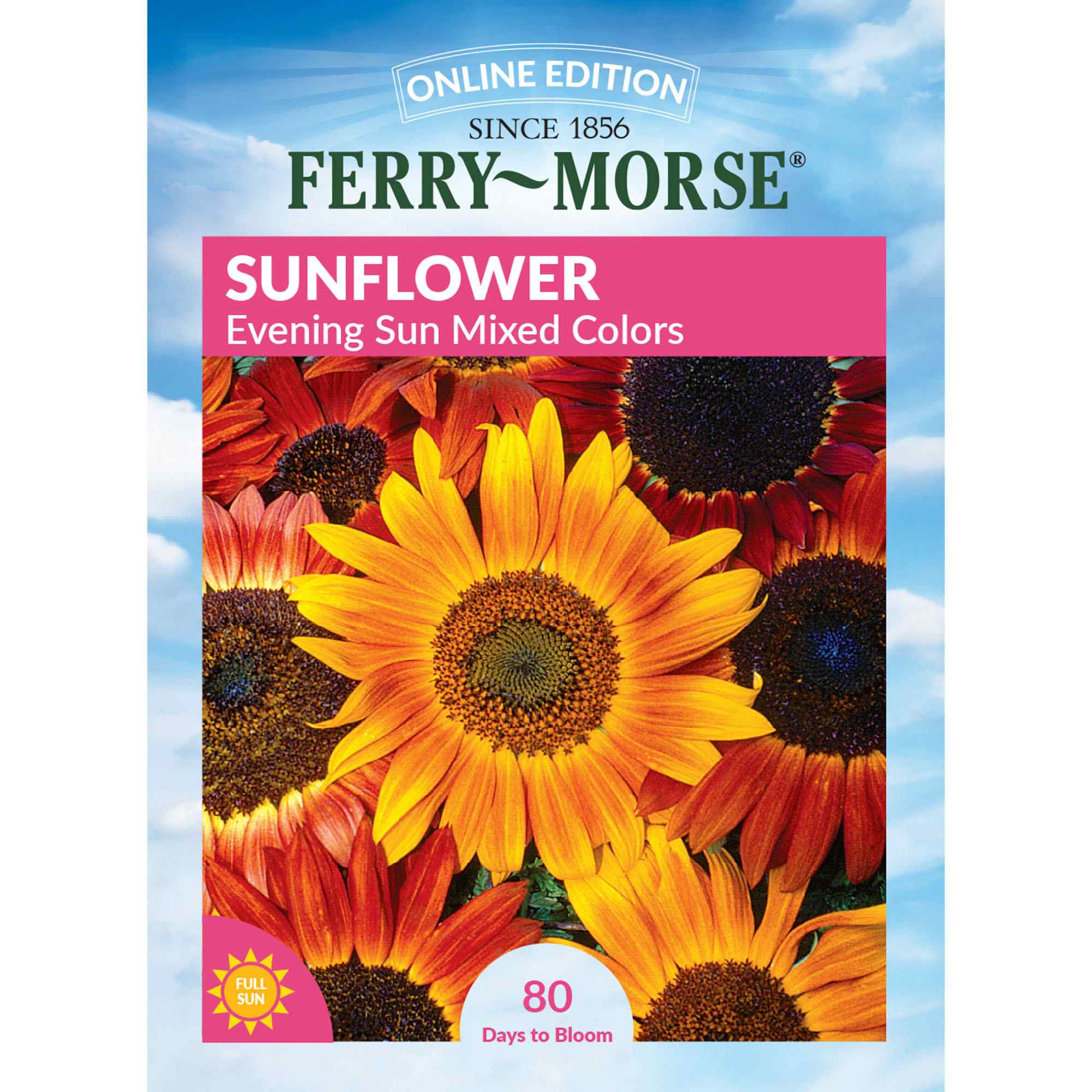 Sunflower evening sun mixed colors front of packaging